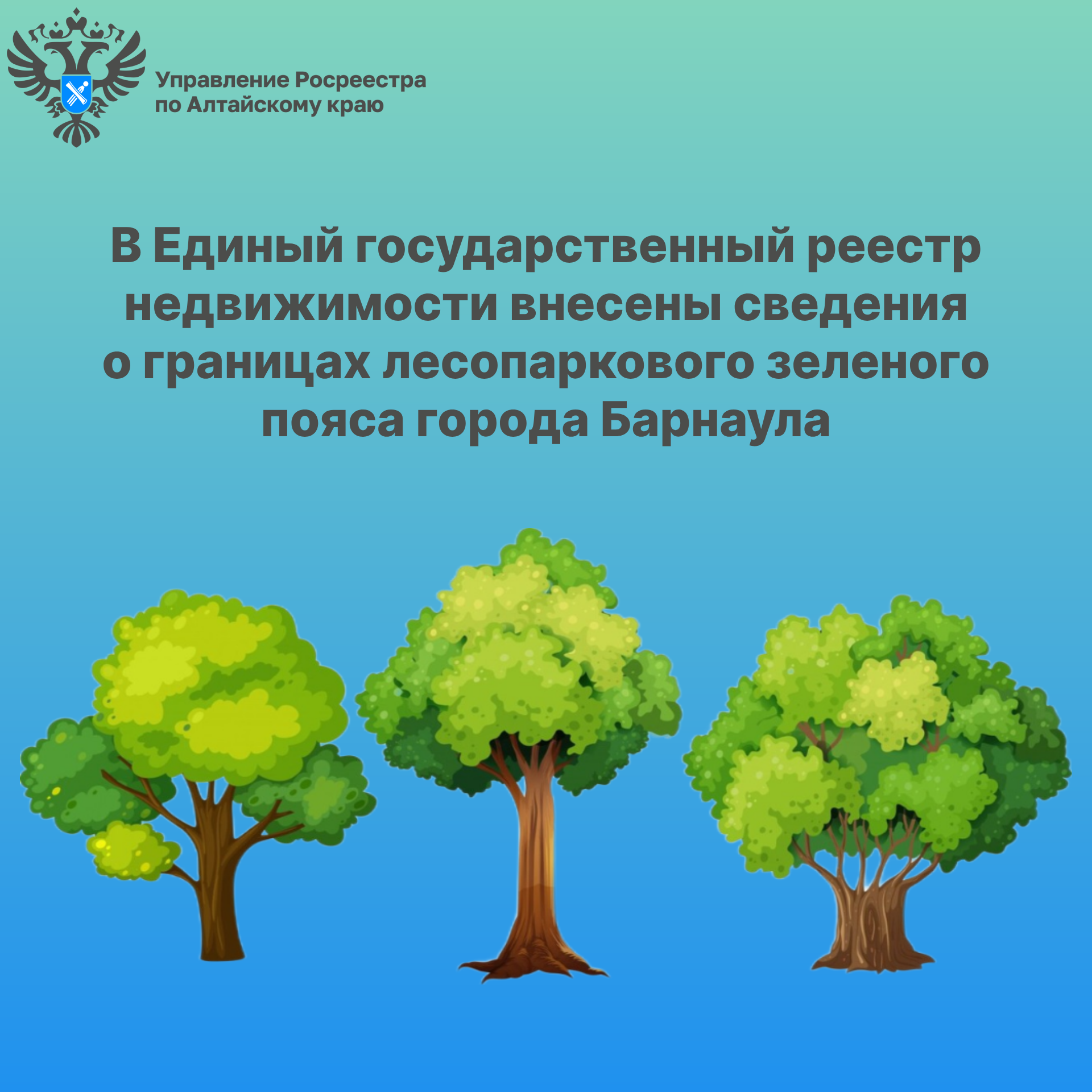 ​​​​​​​В Единый государственный реестр недвижимости внесены сведения о границах лесопаркового зеленого пояса города Барнаула.