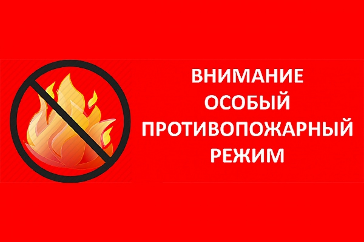 На период действия особого противопожарного режима запрещено:.